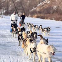 [잼몽특가]몽골 겨울 완전 정복 #2박 3일 [현대식 게르 1박]