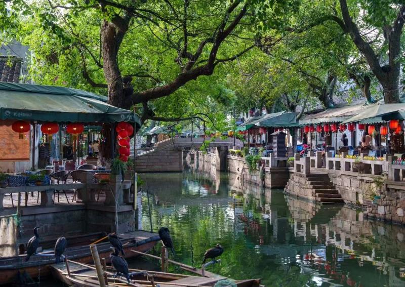 [중국 강소성] 상해-동리고진_리무진 차량 이동_4일 (노쇼핑)